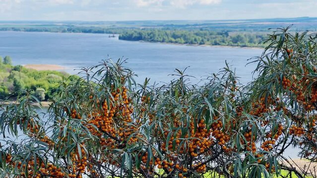 Picturesque view of the Kama River from the observation deck at the Yelabuga settlement. The movement of clouds over the river. Lower Kama National Park. Yelabuga, Republic of Tatarstan, Russia, 4K