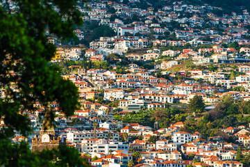 Bird's-Eye View of a Crowded Residential Area in a City Neighborhood