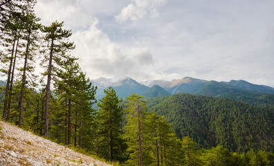 The photo of the Pirin Mountains, seen from a hill with pine trees in the foreground. The sky above is adorned with enchanting clouds, adding to the scenic beauty of the rugged peaks. 