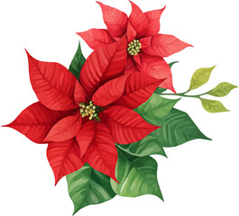 Christmas Watercolor Red Poinsettia Flowers With Leaves Bouquet