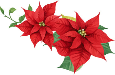 Christmas Watercolor Red Poinsettia Flowers With Leaves Bouquet