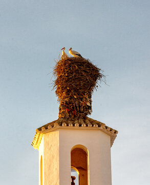 Cig&uuml;e&ntilde;as en campanario iglesia del Encinarejo, C&oacute;rdoba, Espa&ntilde;a