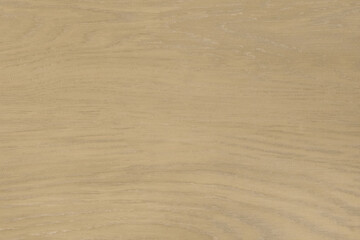 Light green wood surface floor texture background boards wooden