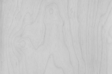 Light White Smooth Surface With Abstract Natural Wood Pattern Texture Boards Background Wooden