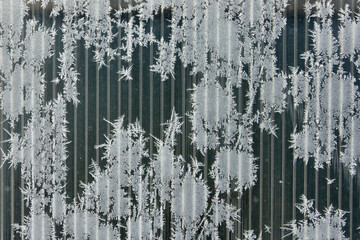 Tarnished porous polymer surface with a frosty needle pattern.