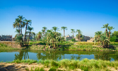 Beautiful green valley of Nile river near city Luxor, Egypt, Africa