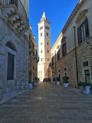 Cathedral Basilica of Saint Nicholas the Pilgrim of Trani in Puglia