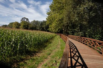 Wooden river walk route of the Anllóns River in A Laracha. wooden walk