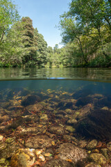 River over and under water surface split view, natural scene, Spain, Galicia, Pontevedra province, Rio Verdugo