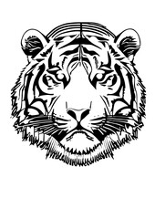 Tiger Head Ilustration