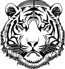 Tiger Head Illustration