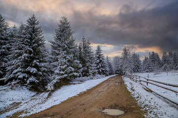 Snowy winter landscape in Carpathian mountains. Ukraine. Winter in mountain