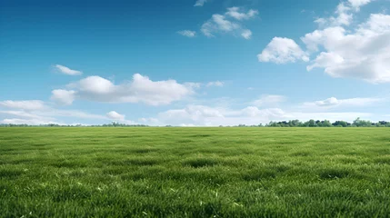 Foto op Plexiglas Weide Big Field Of Green Grass With Cloudy Blue Sky - Generative Ai