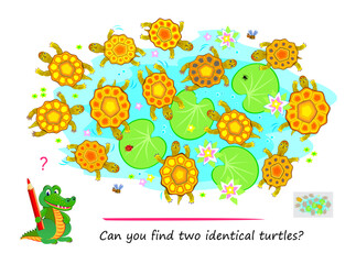 Logic puzzle for children and adults. Can you find two identical turtles? Page for kids brain teaser book. Task for attentiveness.  IQ test. Play online. Vector cartoon illustration.