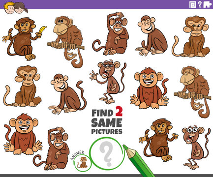 find two same cartoon monkeys animals educational game