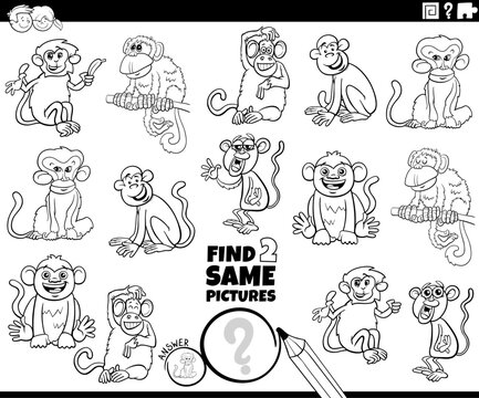 find two same cartoon monkeys activity coloring page