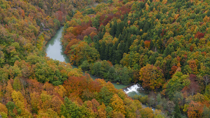 Fototapeta na wymiar Irati river. Forests in autumn by the Irati river from Ariztoki, Aezkoa valley, Navarra.