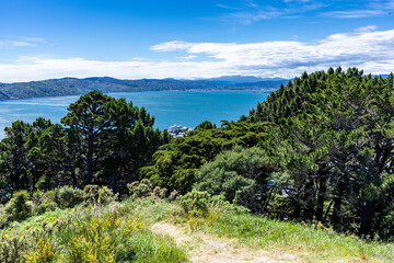 Fototapeta na wymiar Mt. Victoria in Wellington New Zealand