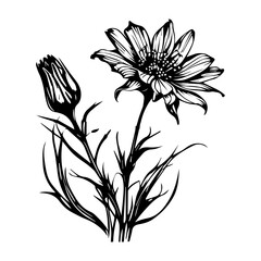 black and white flower