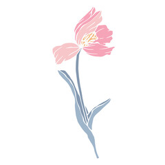 Spring tulip flower. Vector graphics.