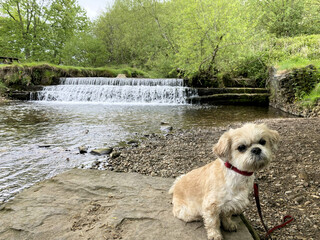 A view of the North Wales Countryside near Wrexham