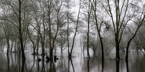 Zone inondée en hiver