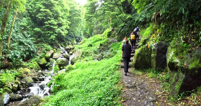 Azores, Portugal; 27th March 2023: A group of people hiking in the middle of a thick forest, in the path to arrive to the 'Cascata do Salto do Prego', close to a river