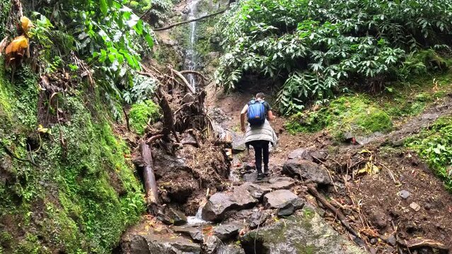 A man hiking crossing a small water stream in the middle of a green forest close to a river in the island of Sao Miguel in Azores, Portugal, in the path to arrive to the 'Cascata do Salto do Prego'