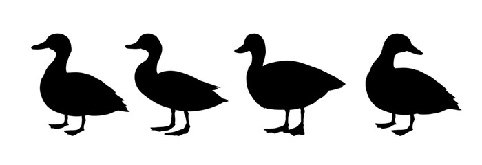  duck silhouette set - vector illustration © KR Studio