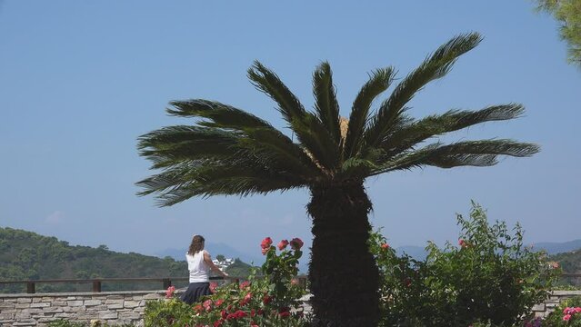 Woman watching panorama from Mediterranean terrace with Cycas sago palm tree