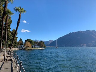 Tessin : See Lago Maggiore bei Locarno - Seeufer Minusio mit Palme und Blick auf die Berge Gambarogno und die Magadinoebene - Schweiz