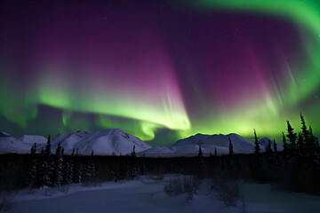 Picturesque northern lights in the night sky