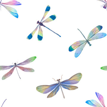 seamless pattern, bright watercolor dragonflies, drawing of insects flying on a white background
