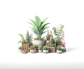 plants in pots and boxes with isolated background
