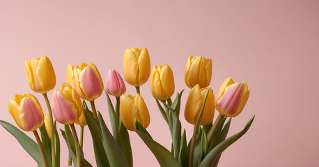 Beautiful spring flowers. Bouquet of yellow tulips flowers on pastel pink background. Valentine's Day, Easter, Birthday, Happy Women's Day, Mother's Day. Background with more copy space.