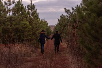 Fototapeta premium Happy couple running through the forest holding hands. Man in black coat and a young woman in a knitted sweater are fooling around in a pine park, playing tag. Winter date in nature. valentines day