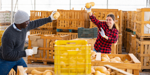 Couple of smiling workers man and woman, funny at the warehouse, throwing pumpkin at each other - Powered by Adobe