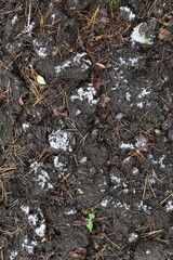 Earth and snow textures. Winter background, the first snow in the field, a small amount of snow. Top view, close-up. It's cold outside