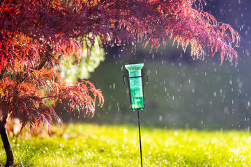Rain gauge collecting water in garden during summer rain