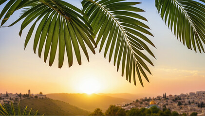 Holy Week Symbolism: Palm Fronds Against Morning Glow