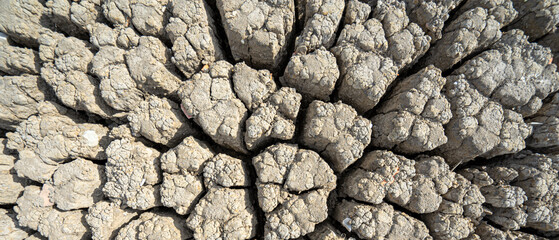 formations of rocky appearance caused by extreme drought of a lake.  cracked dry mud