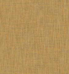 Abstract textured  with empty pattern, closeup macro detail