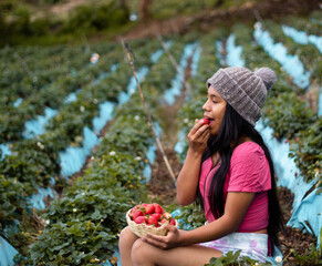 Mujer turista bastante joven con diadema tejida sosteniendo un tazón lleno de frutas y comiendo fresas maduras en el campo después de cosechar, producción de fresas.