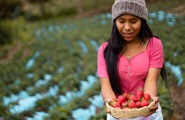 Mujer turista bastante joven con diadema tejida sosteniendo un tazón lleno de frutas y comiendo fresas maduras en el campo después de cosechar, producción de fresas.