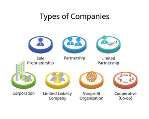 Types of companies or Business Structures such as sole Proprietorship, Partnership, Limited Partnership, Corporation, Limited Liability Company, NGO, Cooperative