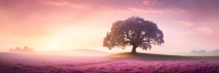 Gartenposter Morning sun.A farmland overlooking the horizon where beautiful lavender flowers bloom. Changes in the weather and the environment transform the flower fields into magical heavenly paradise scenery. © omune