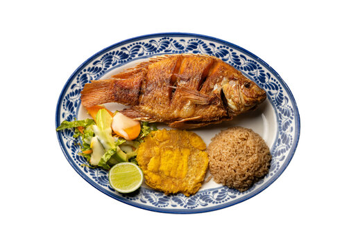 Served dish of fried tilapia fish - Typical Colombian dish