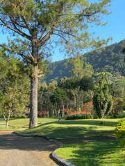 Beautyful green landscape of Handara at sunny day