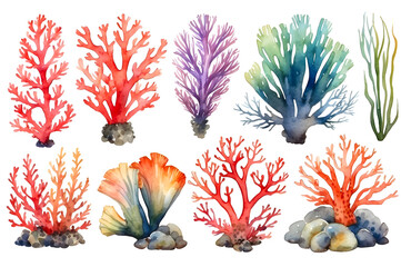 Set of watercolor seaweed and corals isolated on transparent background - obrazy, fototapety, plakaty
