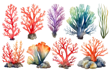 Poster Set of watercolor seaweed and corals isolated on transparent background © Nisit